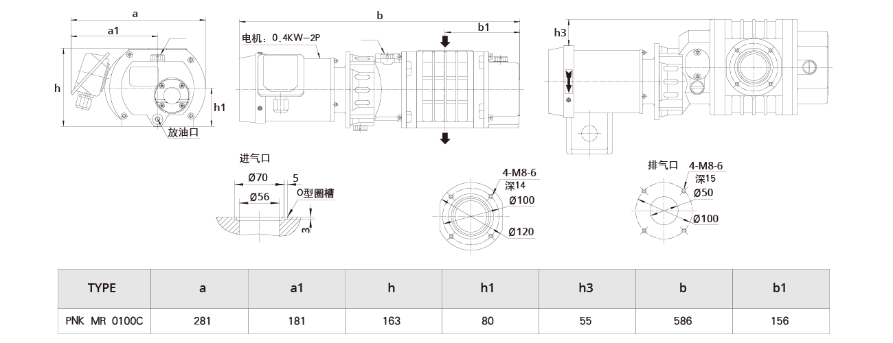 PNK MR 0100C羅茨真空泵（bèng）