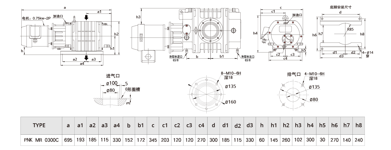 PNK MR 0300C羅茨（cí）真空泵（bèng）