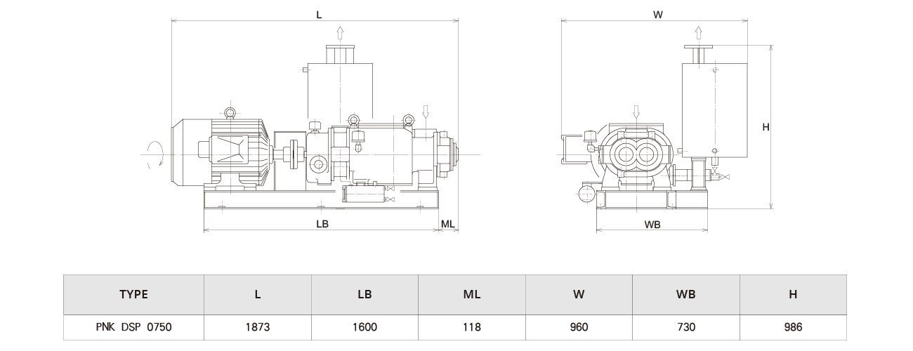 PNK DSP 0750螺杆（gǎn）真空泵