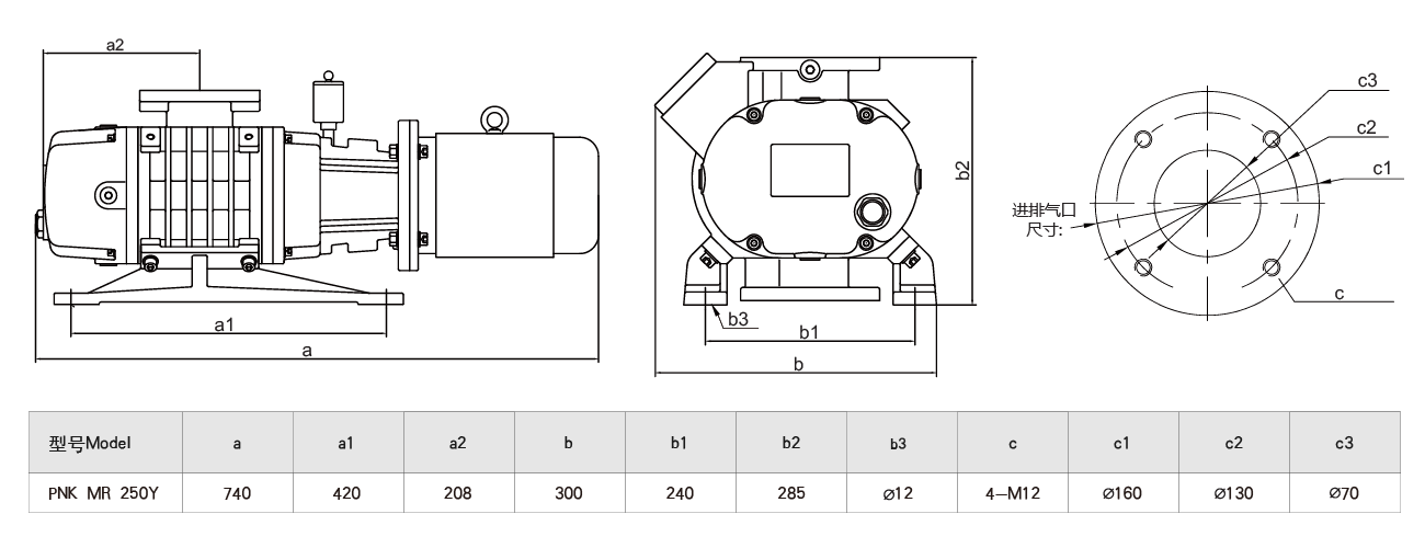 PNK MR 250Y羅茨真空泵（bèng）
