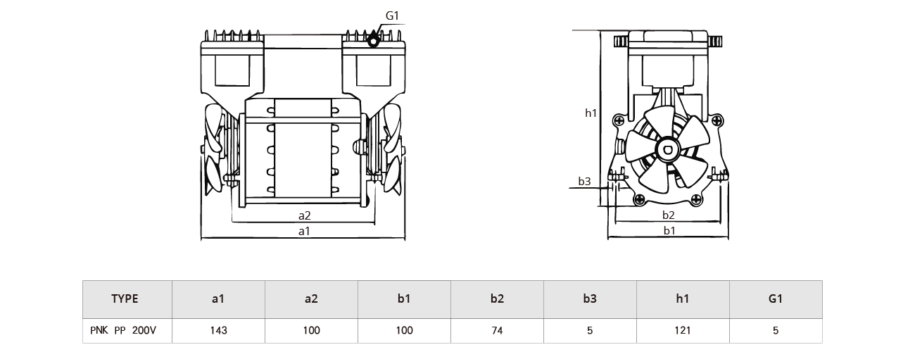 PNK PP 200V活塞真空（kōng）泵.png